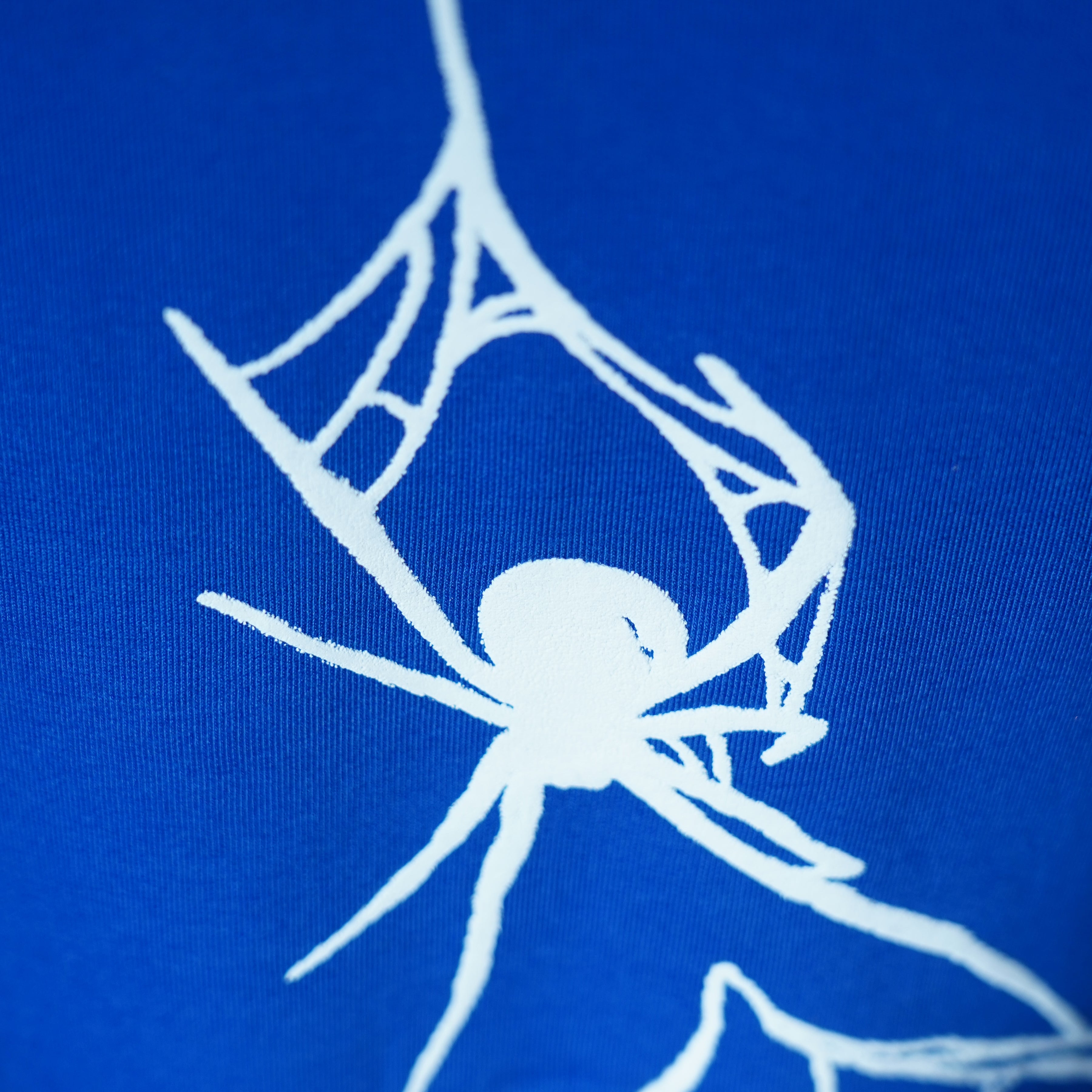 Blue Web Warrior T-Shirt