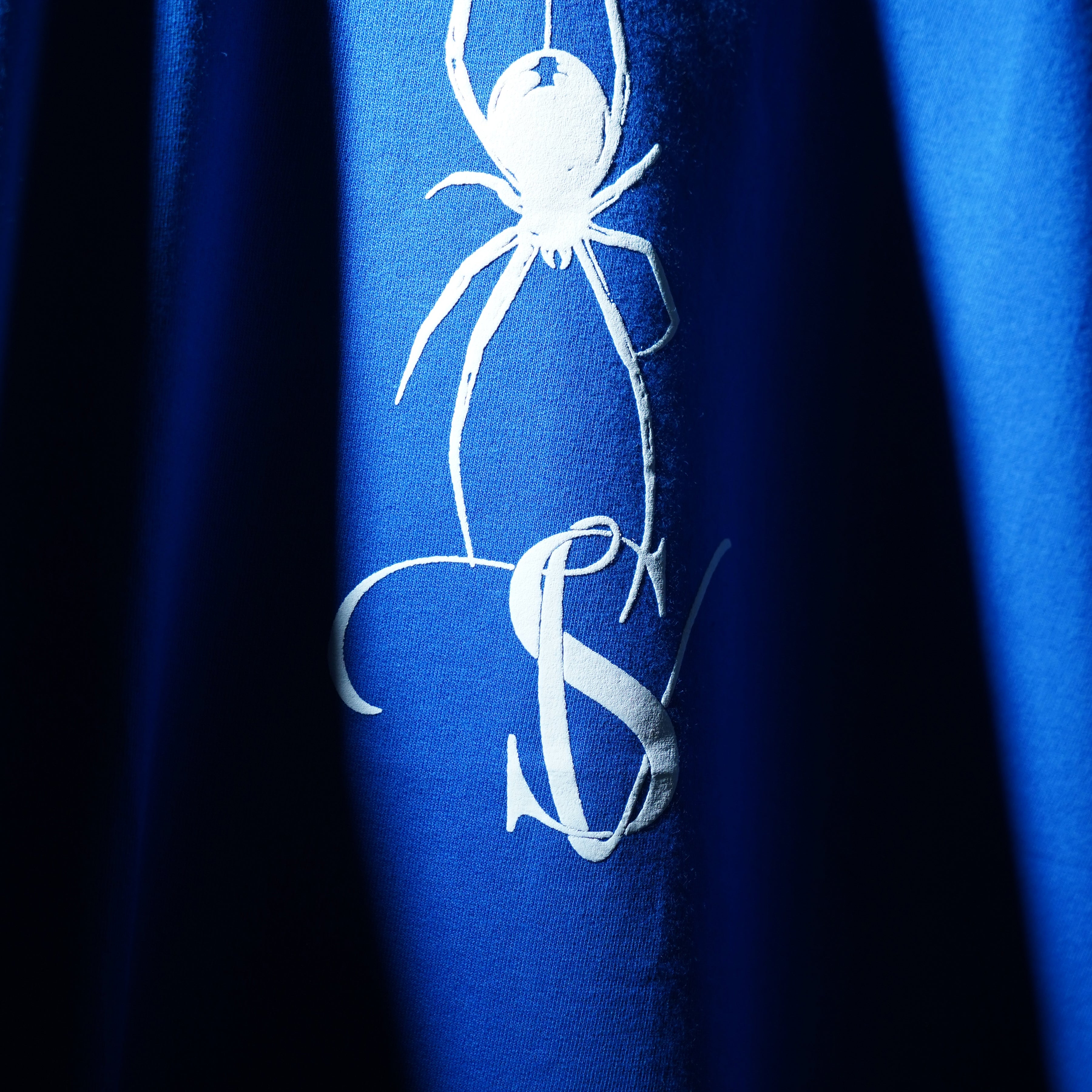 Blue Web Warrior T-Shirt